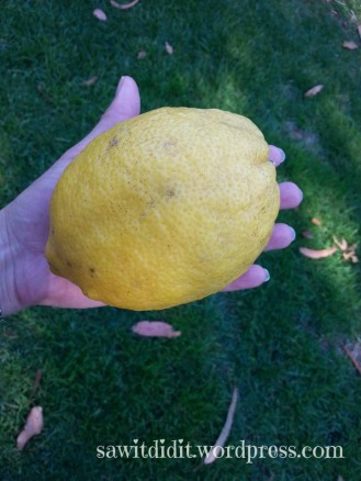 large lemon