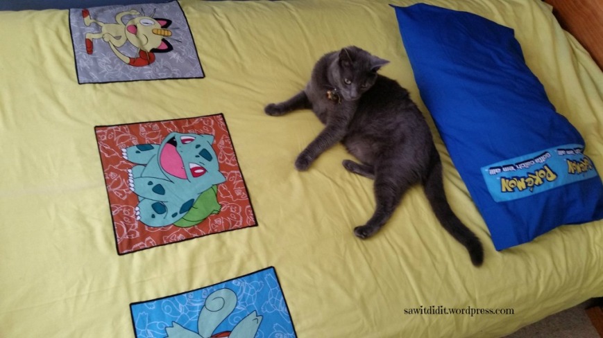 one-of-a-kind-pokemon-quilt-cover-6